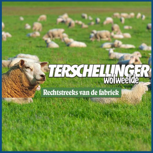 terschellinger-4-seizoenen-wollen-dekbed-review